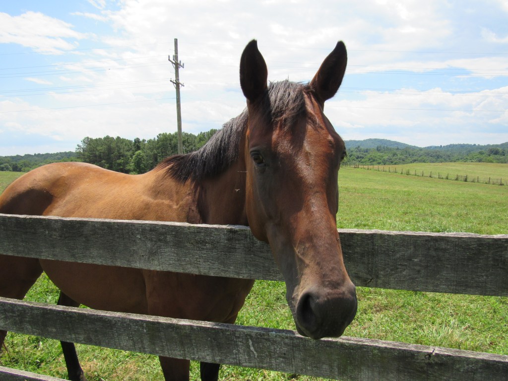 My Hiatus Explained…