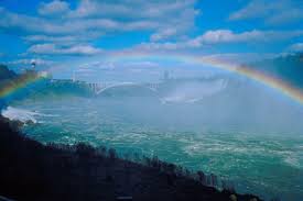 Wednesday’s Wisdom