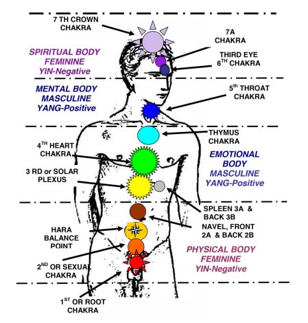 chakra-diagram-in-the-body