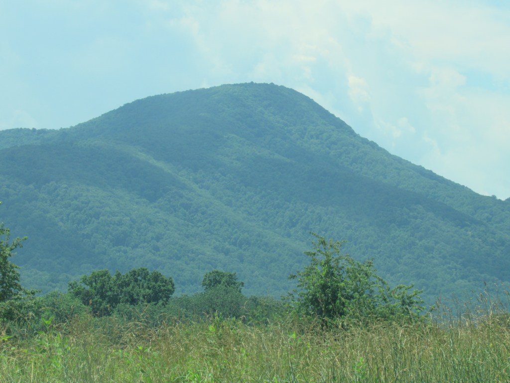 The Four Silent Watchers