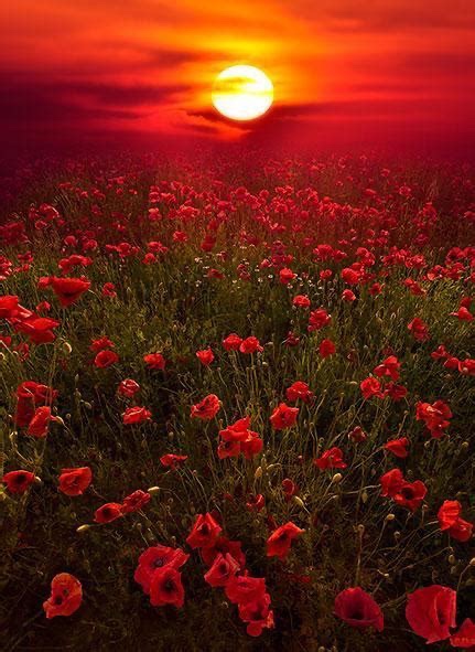 Thursday’s Spiritual Contemplation on the Radiance of Divine&nbsp;Ministration